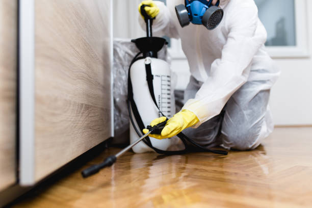 Best Flea Control Services  in Hornsby Bend, TX