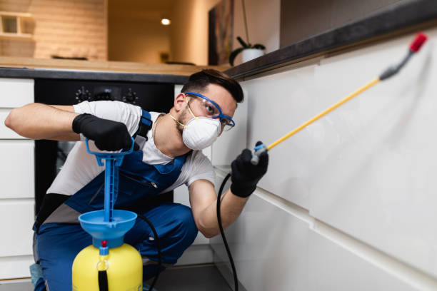 Best Best Pest Control Companies  in Hornsby Bend, TX