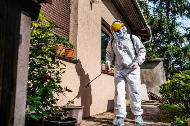 Wasp Removal Services in Hornsby Bend, TX