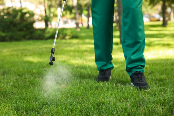 Best Pest Control Near Me  in Hornsby Bend, TX