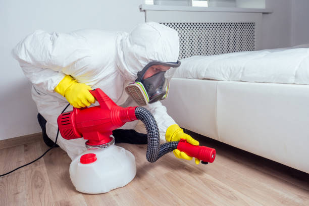 Best Pest Control Near Me in Hornsby Bend, TX