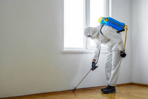 Best Affordable Pest Control Services  in Hornsby Bend, TX
