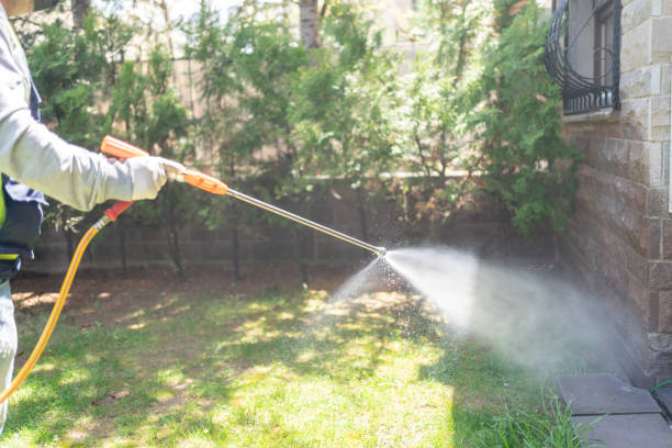 Best Exterminator Services  in Hornsby Bend, TX