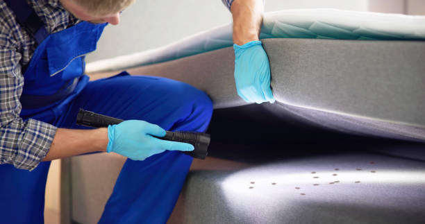Best Wasp Removal Services  in Hornsby Bend, TX