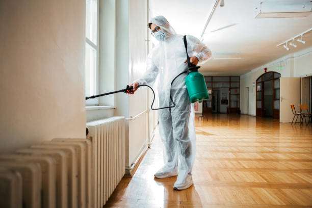 Best Emergency Pest Control  in Hornsby Bend, TX