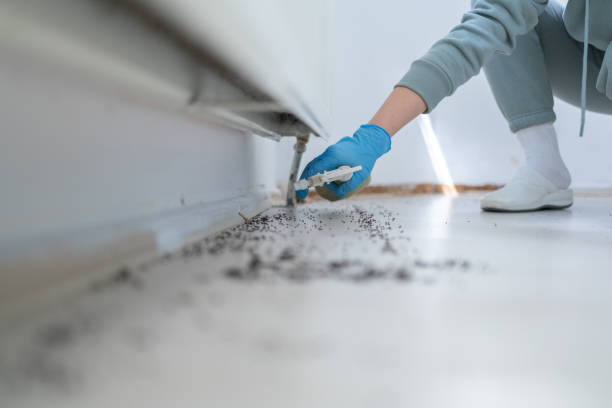 Best Best Pest Control Companies  in Hornsby Bend, TX