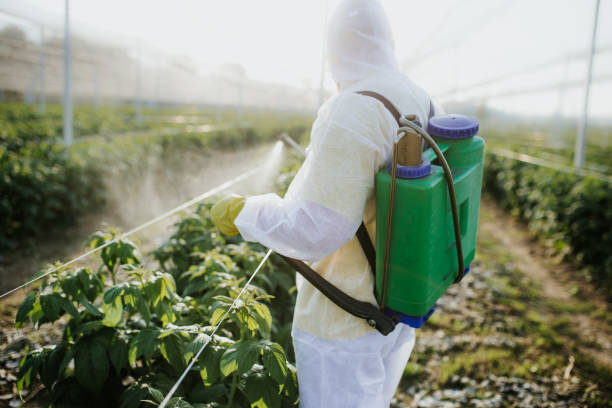  Hornsby Bend, TX Pest Control Pros
